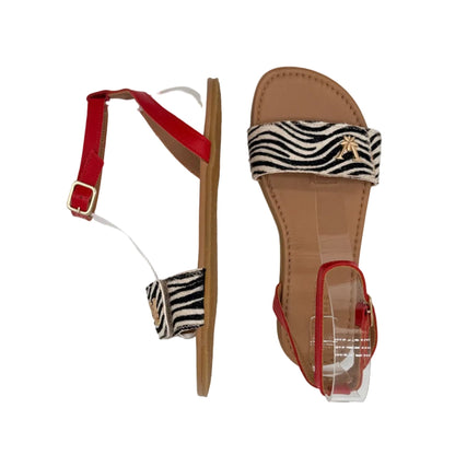 JIMENA ZEBRA - VALENTA UNIC